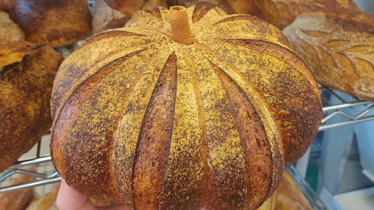 Snapinsta.app 123126554 793087534586686 600696594655335550 n 1080