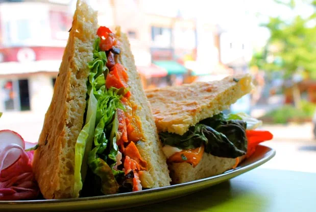 urbanherbivore