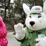 This Long Weekend in Toronto: Easter at Toronto Zoo, a bunny-themed pillow fight, sweet treats at Kensington Market and more