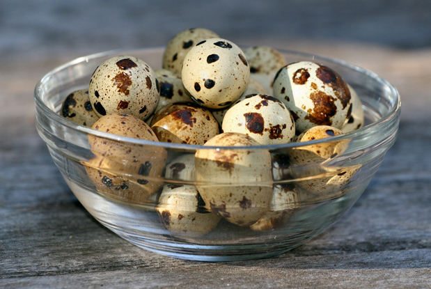 Chef Tip: how to peel quail eggs | TRNTO.com
