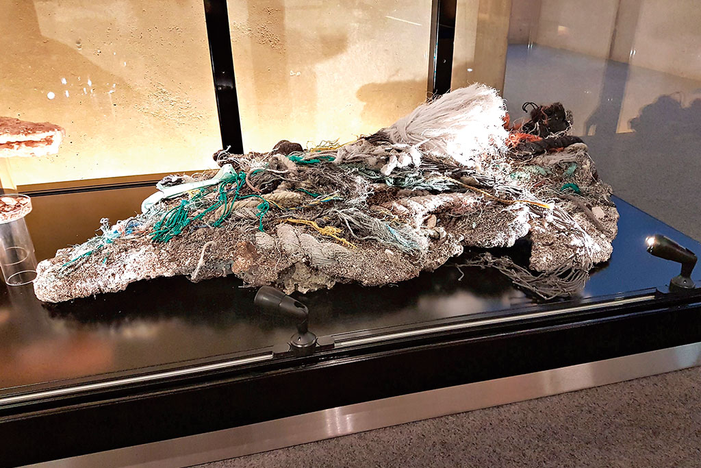 People Using Plastic Substatutes Toronto should follow Vancouver’s lead and ban plastic products - Post ...