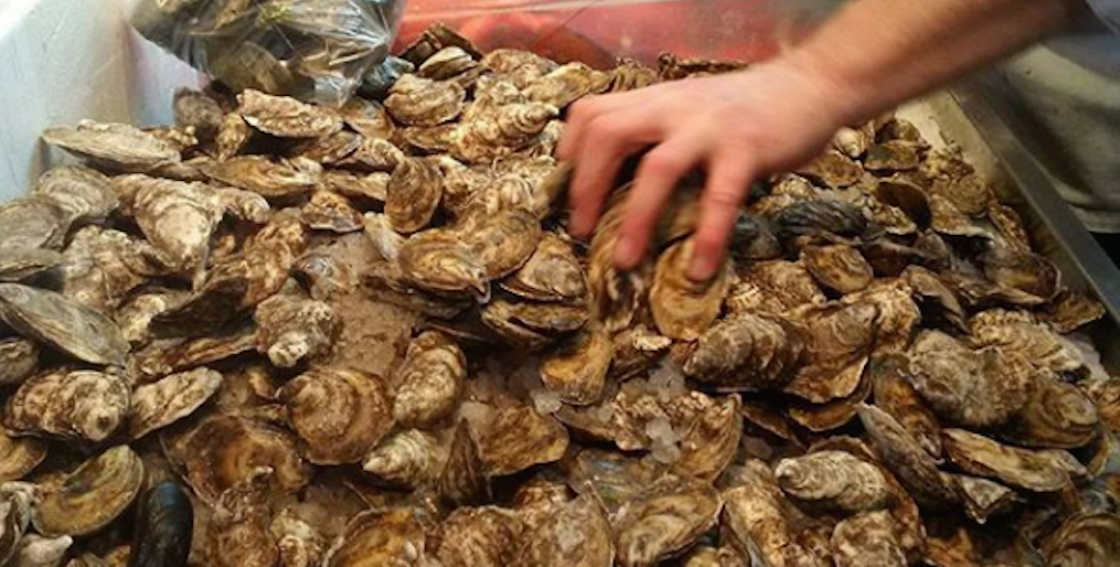 Mike's Fish Market Toronto Restaurant Guide Streets Of Toronto