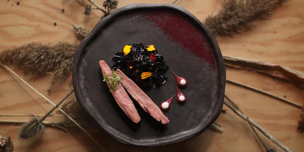 REVERIEATHTEPARK DUCK