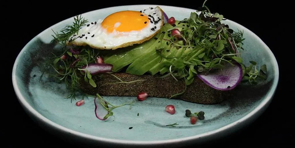 early bird avo toast