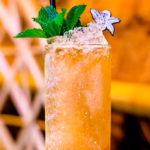 shameful tiki cocktail delivery