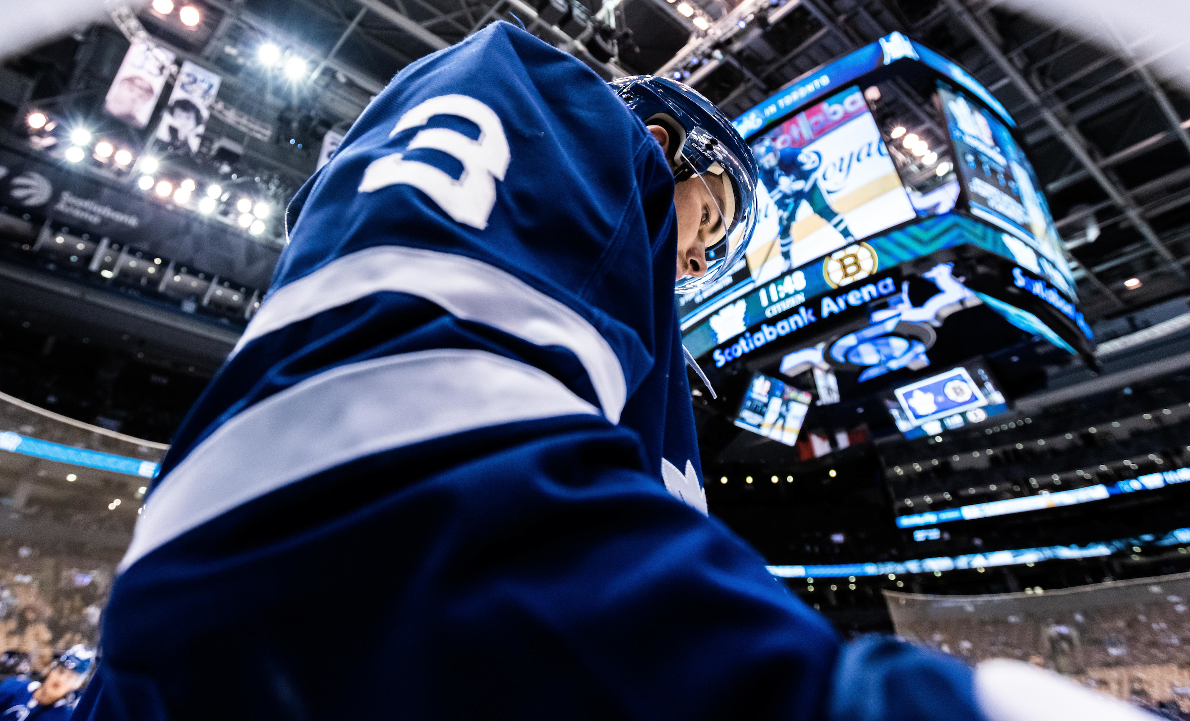 Toronto hockey player