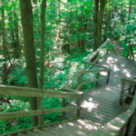 The top five Ontario parks for a hiking day trip this weekend