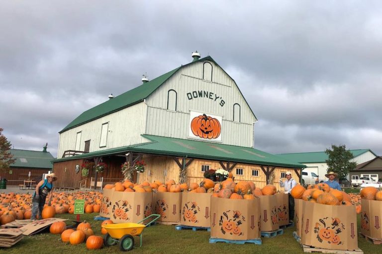 10 pumpkin patches near Toronto to visit with your family this fall