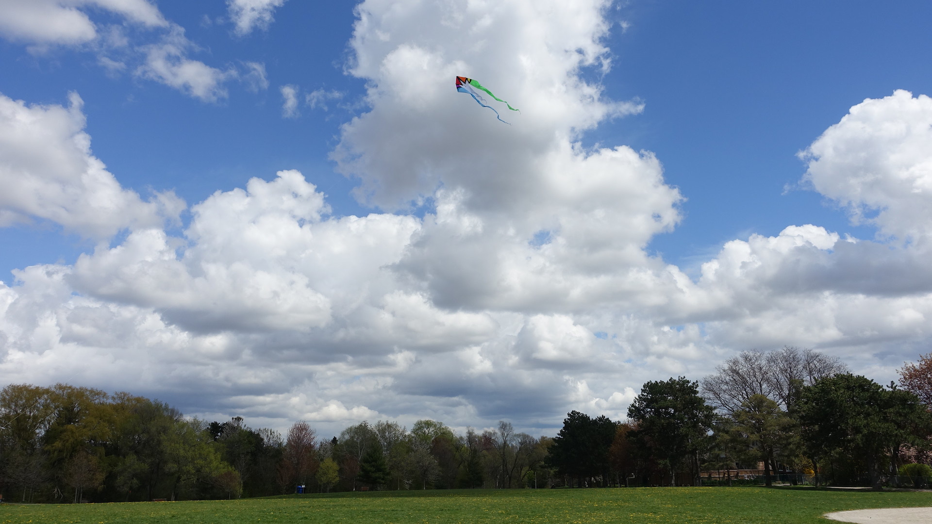 Person flying kite in Toronto park gets visit from bylaw officer