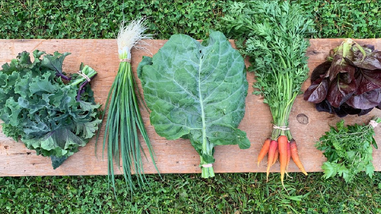 white lily diner farms