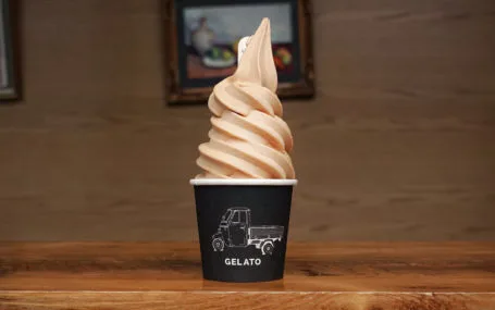 ApricotSorbet e1627403075630