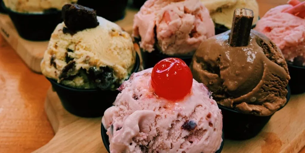 241694262 1171815006679171 4140774855588308258 n e1633025415495