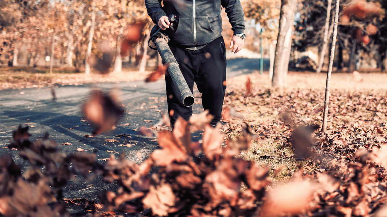 Should Toronto ban leaf blowers? Streets Of Toronto