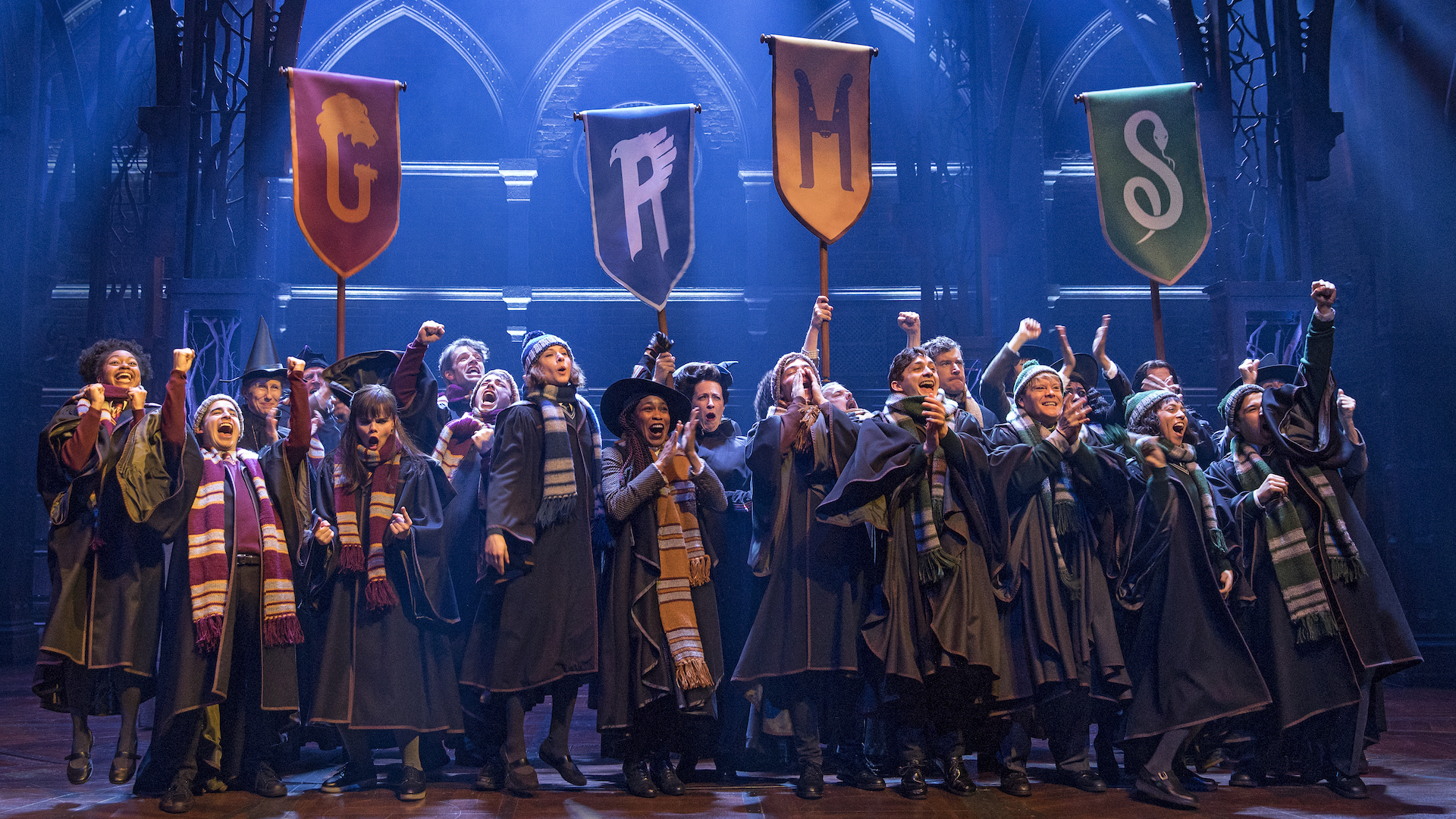 harry potter live theatre