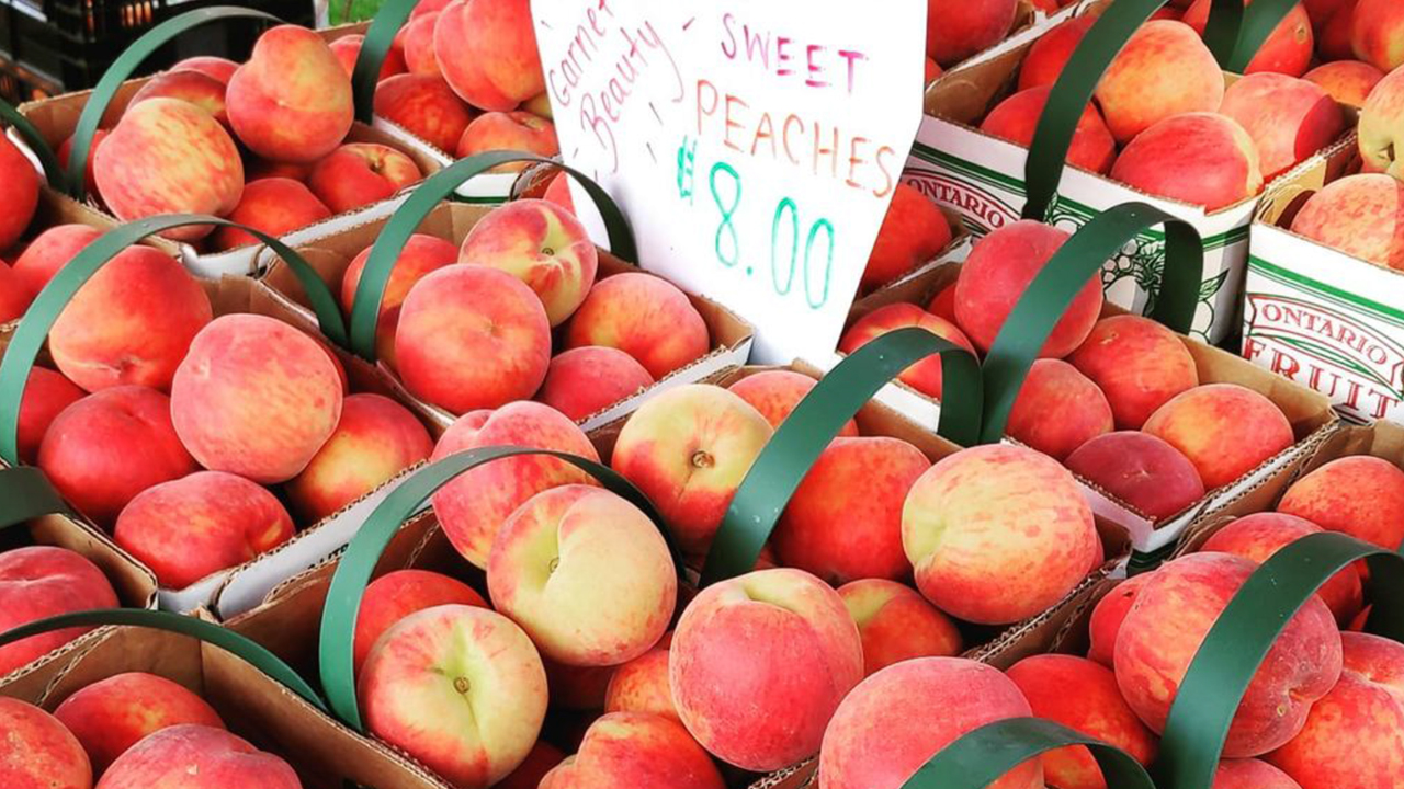 junction farmers market