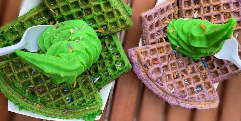 278578635 353977373420621 8421461461757949478 n e1657405411272