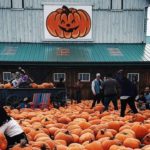 Pumpkin Fest in Caledon is one of the best fall activities to do near Toronto