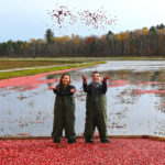 Johnston's cranberry marsh