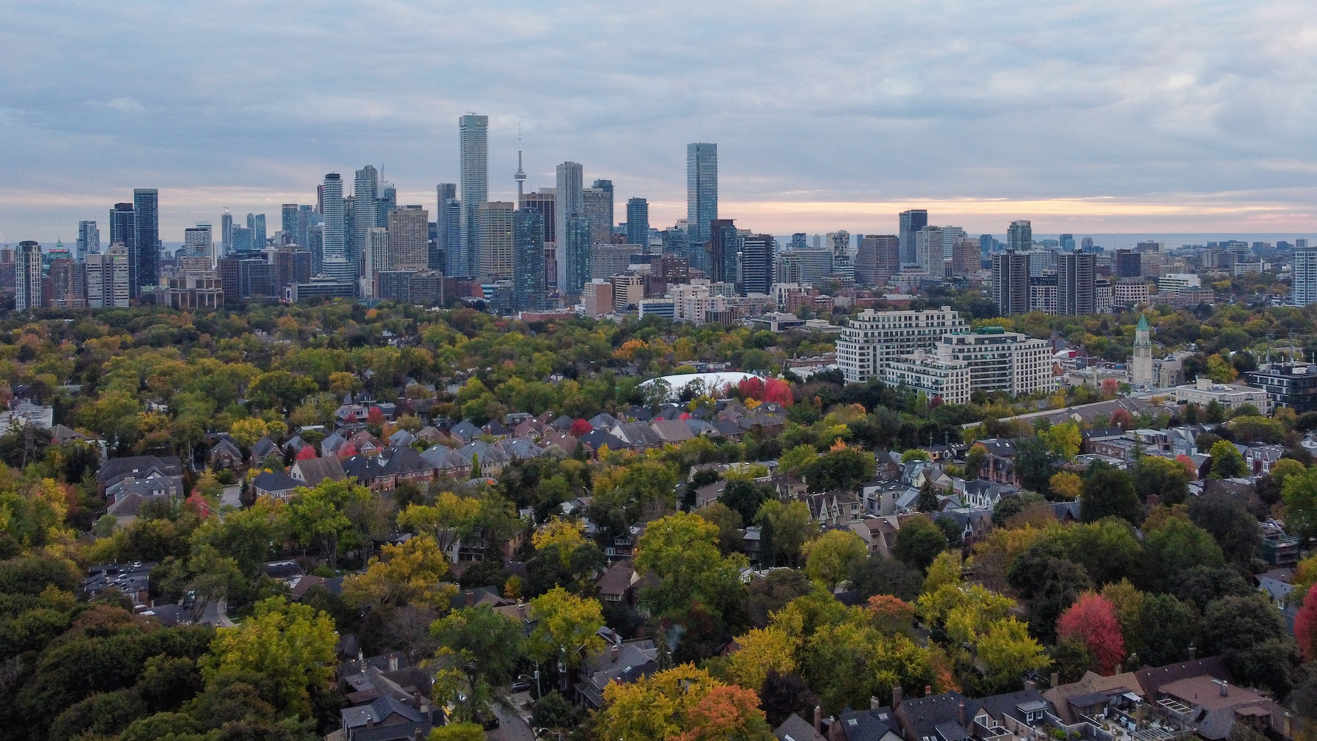 Why do wealthy neighbourhoods in Toronto have more trees? - Post City News