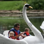 photo of the swan ride at Centreville on the Toronto Islands