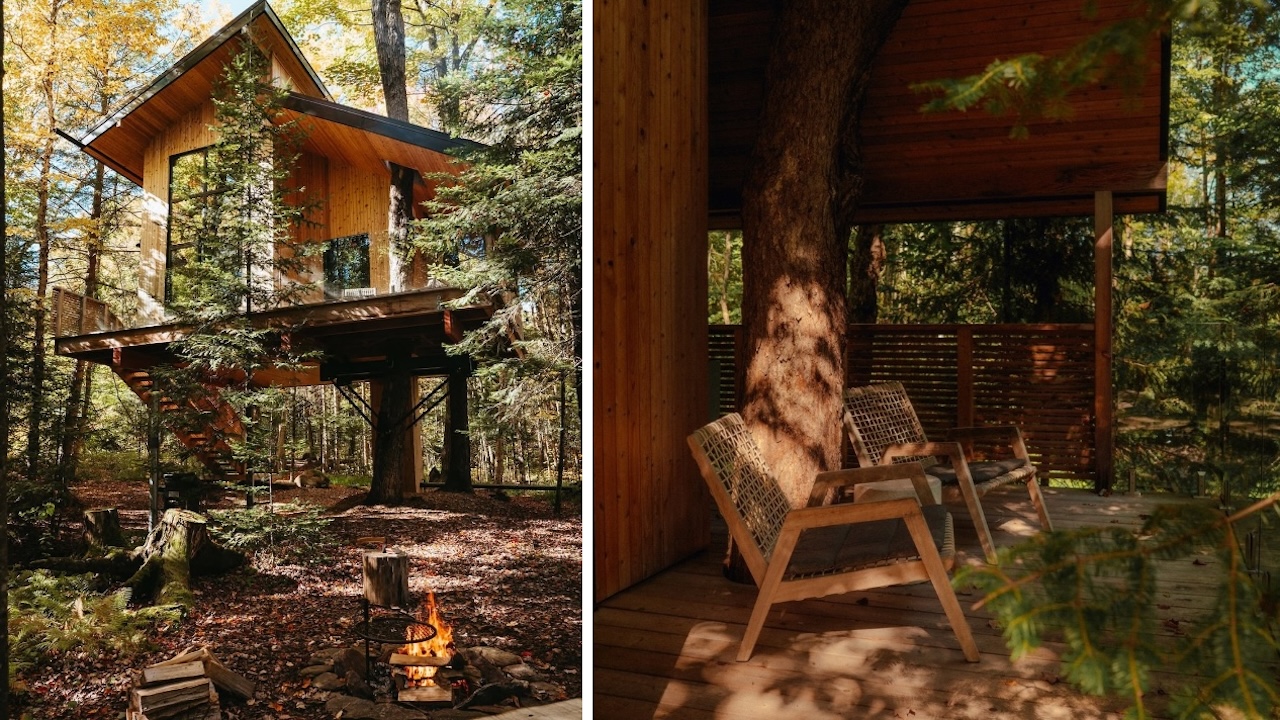 baltictreehouse