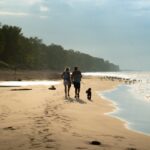 15 uncrowded and gorgeous beaches to check out near Toronto Norfolk County is home to Long Point Provincial Park