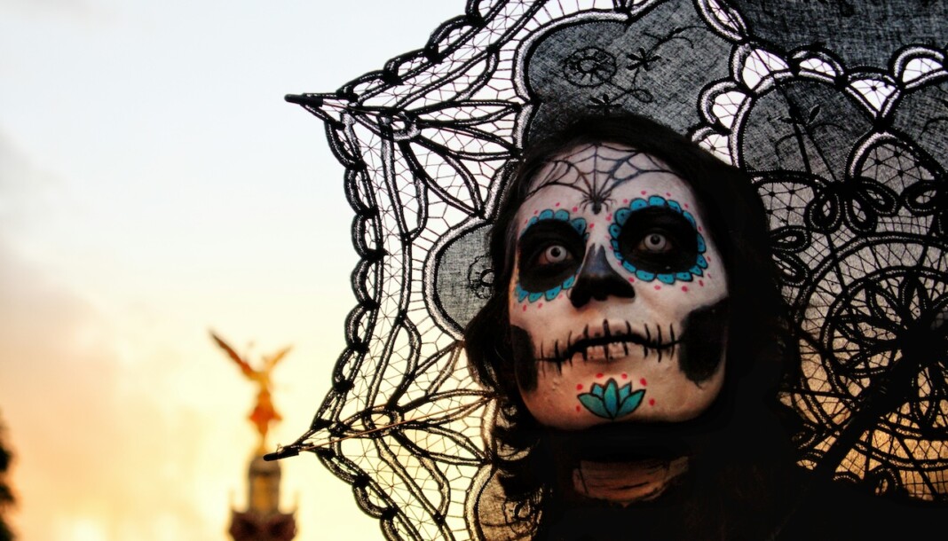 salvador altamirano z X0PxmBuIQ unsplash