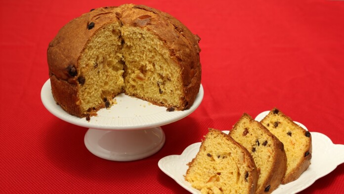 panettone1 panettone1