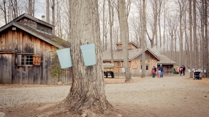 mapletown
