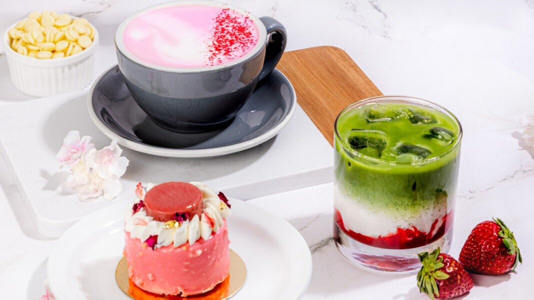 snapins ai 3580217593089627142