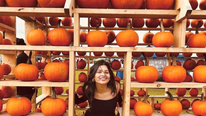 pumpkinfesthouse
