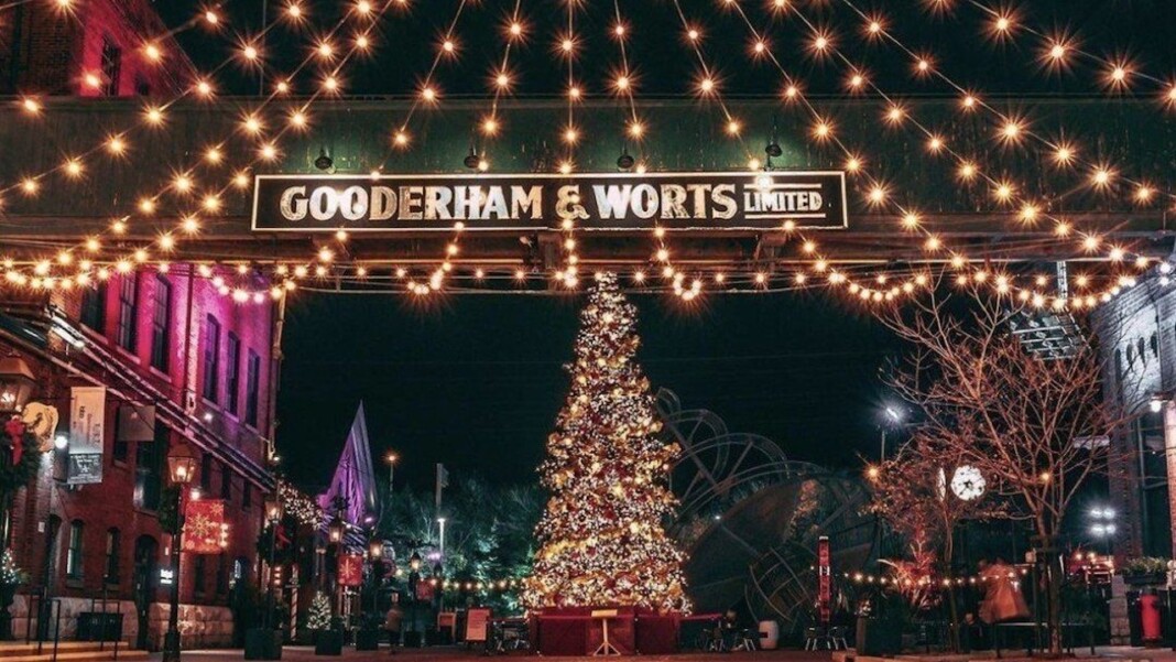 Snapinsta app 259840349 688646255439435 1303139177229848811 n 1080