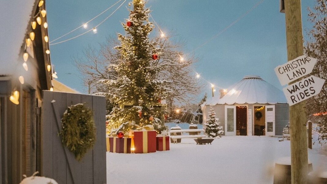 Niemi's Christmas Market