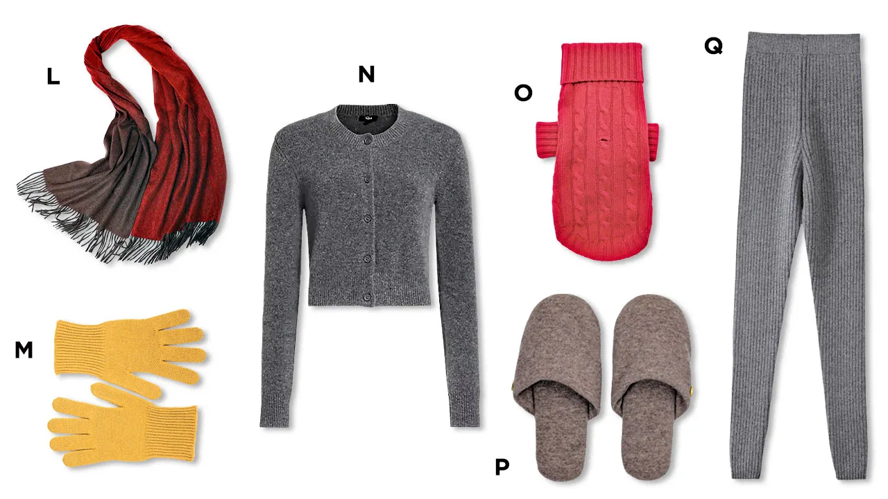 fashion cash dec24 lmnopq