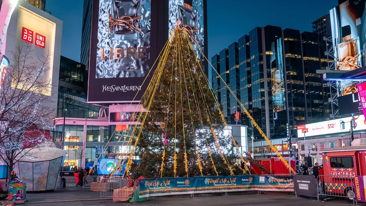 Winter Glow at Sankofa Square