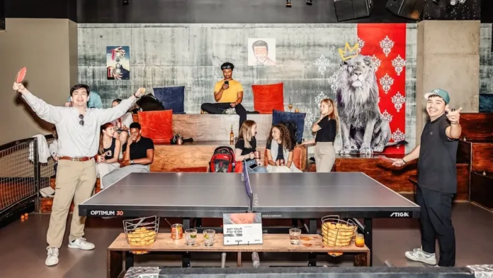 spinpingpong