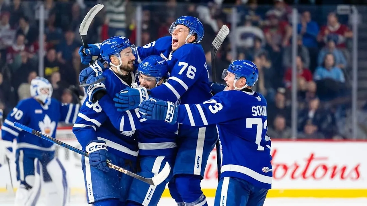 10 things to do on Boxing Day in Toronto, Canada Reviews 10 things to do on Boxing Day in Toronto, Canada Reviews