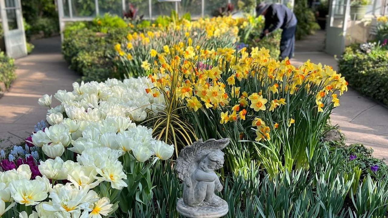 centennialparkconservatory