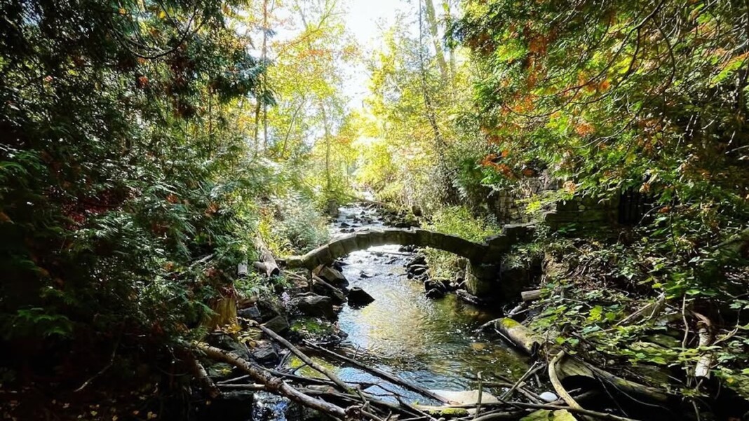 Limestone Conservation Area for cool summer hiking