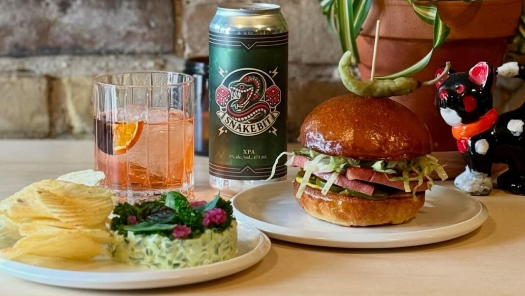 snapins ai 3613722758869284962