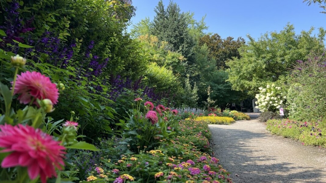 torontobotanicalgarden