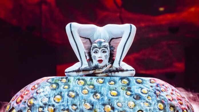 ECHO Cirque du Soleil contortionist