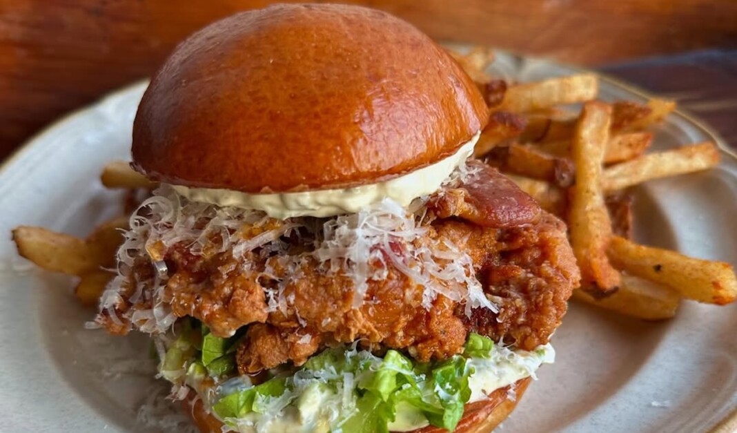 snapins ai 3500676003280824208