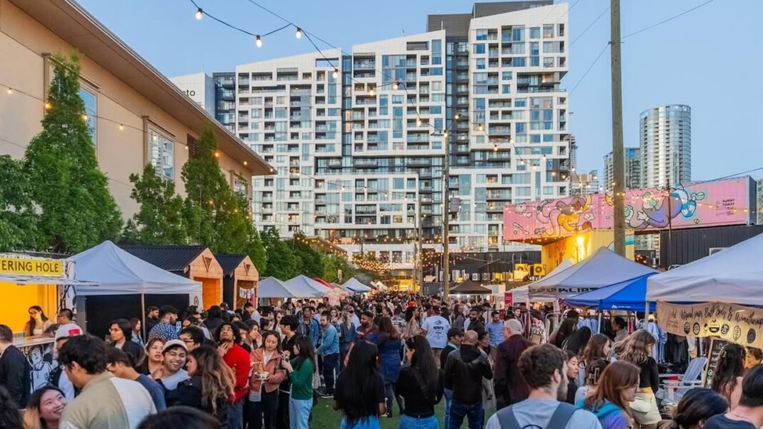 snapins ai 3620159584247086010