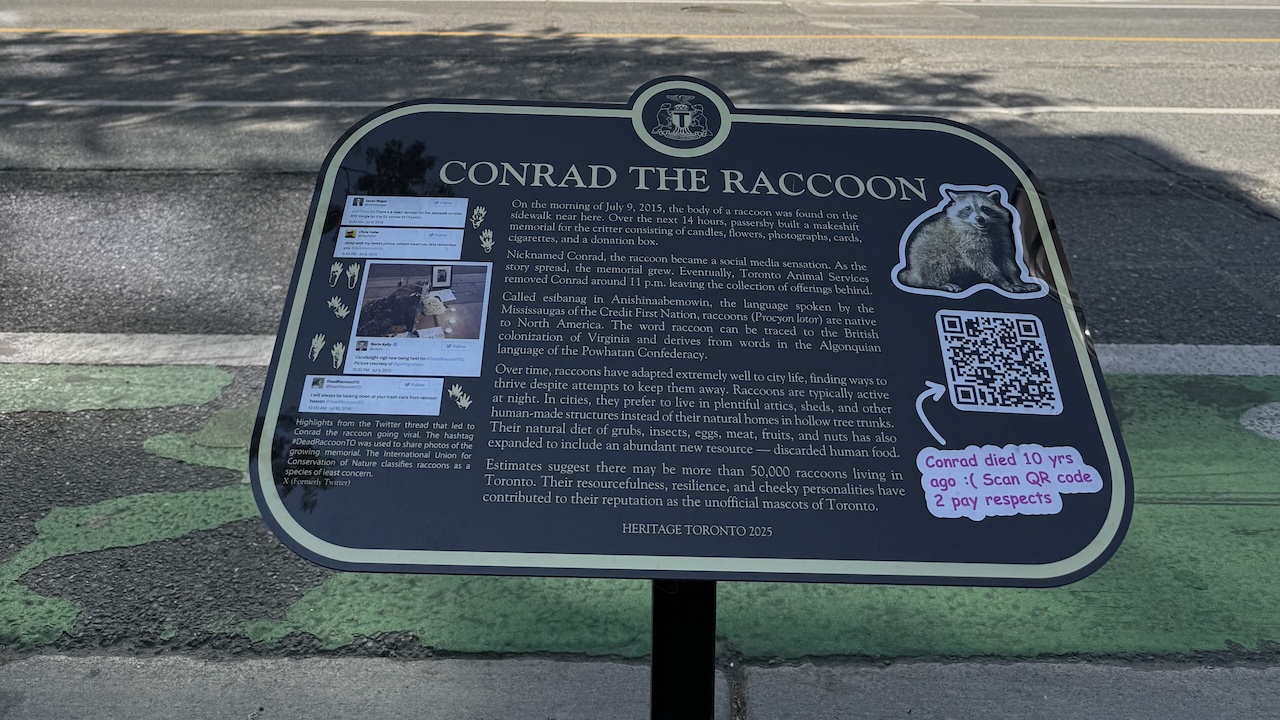 Conrad the Raccoon gets his own permanent Heritage Toronto memorial ...