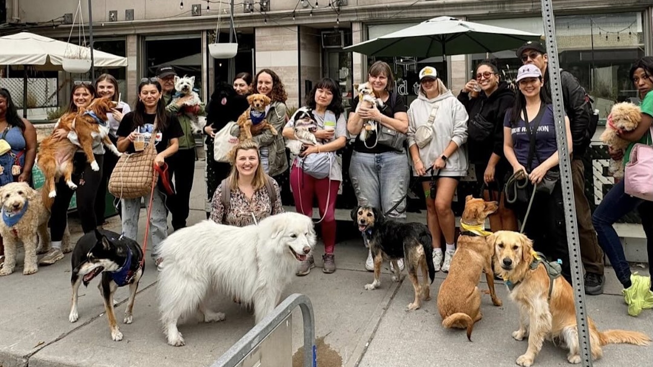 pawswalk