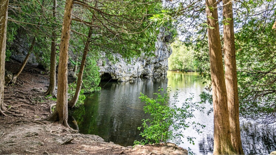 rockwood conservation area