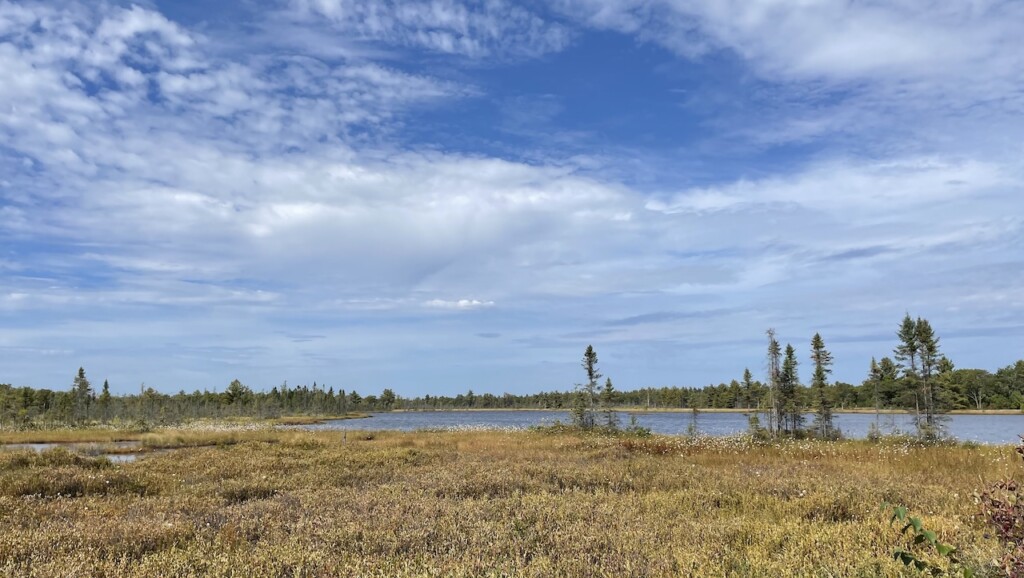 Torrance Barrens