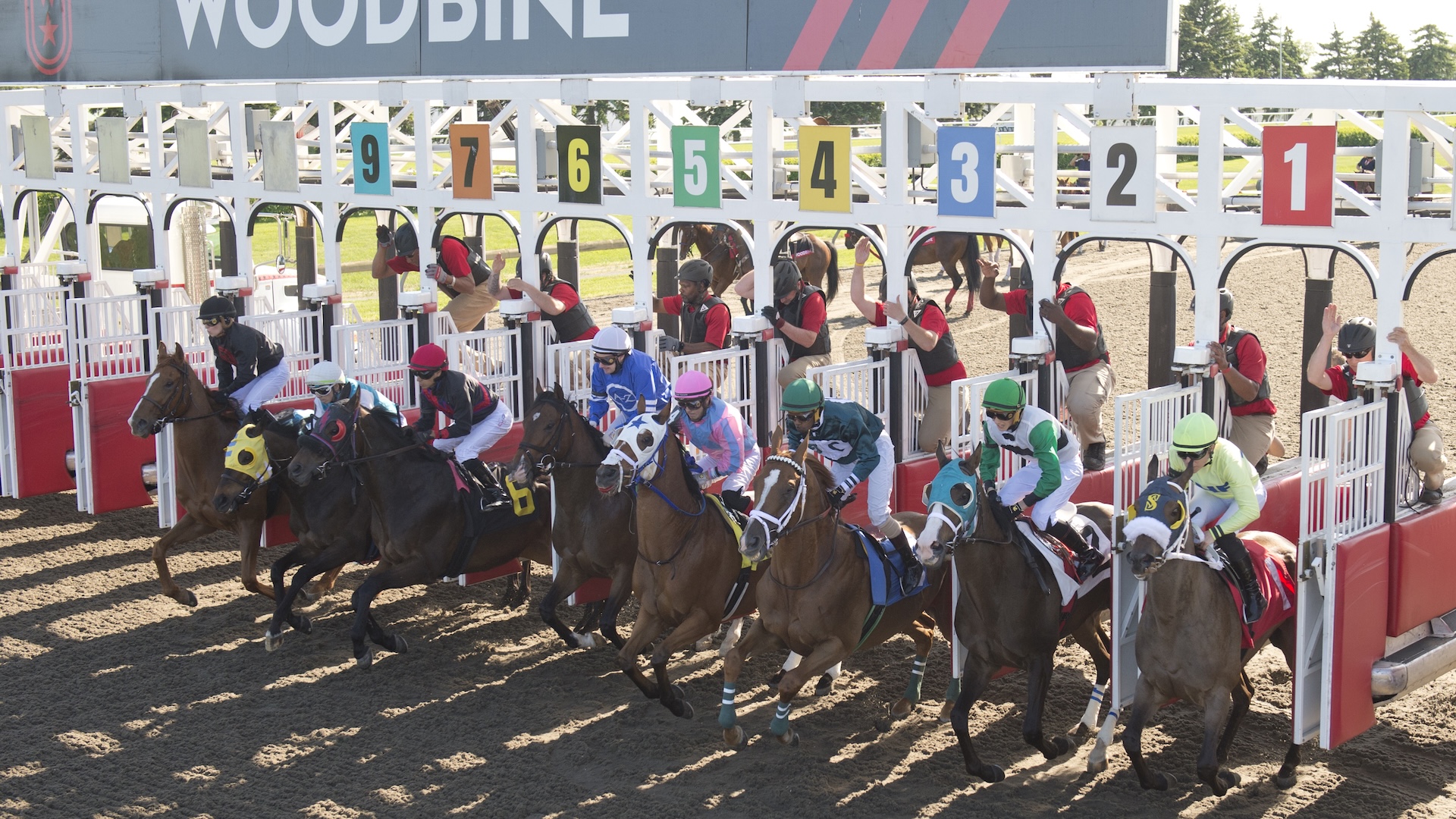 Toronto ON May 24, 2024 Woodbine Racetrack Race #8,Jockey's (Father L) David Moran #5,Race for Pinks, (blue silks), and son Pietro Moran (#2 King Alfredo, White silks green black) break from starting gate for the 1st time riding against each other at Woodbine Racetrack Woodbine/Michael Burns Photo