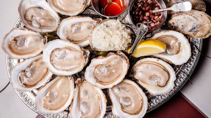 snapins ai 3433082457463296615 oysters
